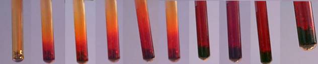 Bromine reacting with aluminum turnings over the course of two minutes.